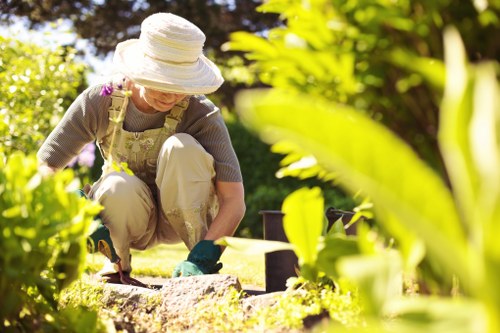 Operative assessing hedge before trimming