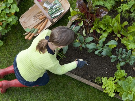 Technician trimming a formal hedge with safety equipment in Heston
