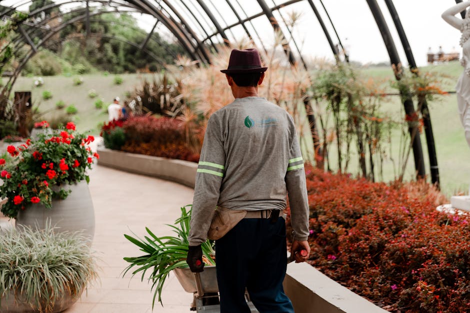 A gardener wearing a teal-green jumpsuit is kneeling and trimming plants in a lush garden, using hand tools close to the ground amidst various green foliage, including tall, spiky plants and low-growi
